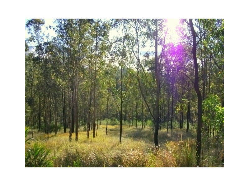 Gloucester NSW 2422