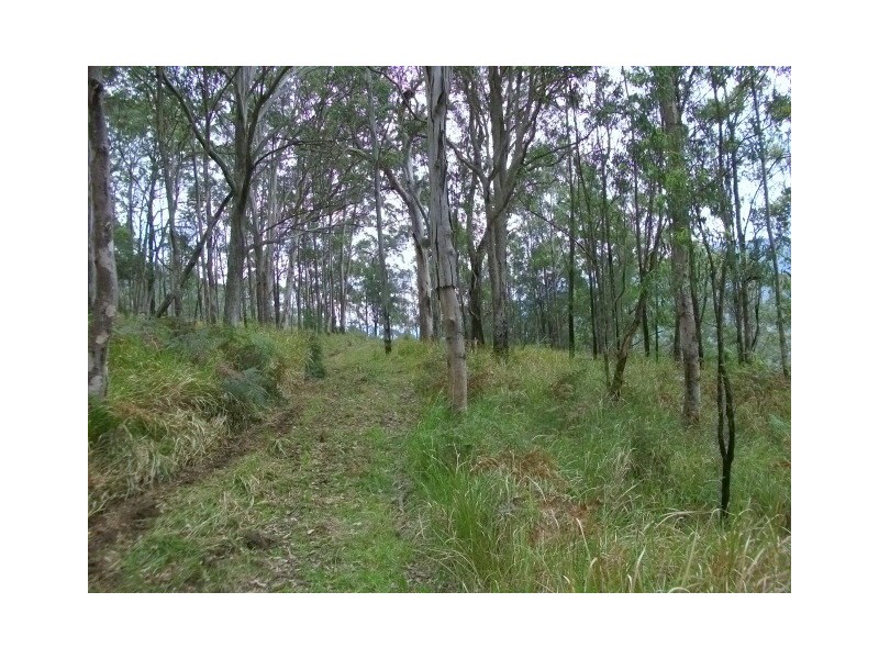 Gloucester NSW 2422