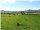 Gloucester NSW 2422