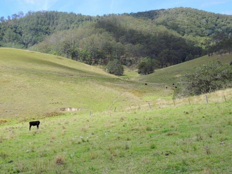 Gloucester NSW 2422
