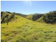 Gloucester NSW 2422