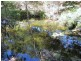 Gloucester NSW 2422