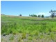 Gloucester NSW 2422