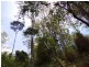 Gloucester NSW 2422