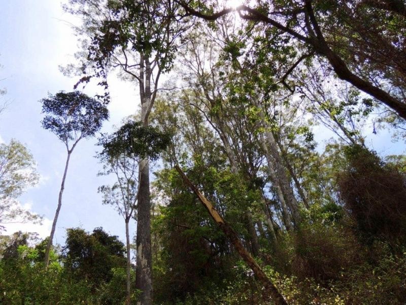 Gloucester NSW 2422