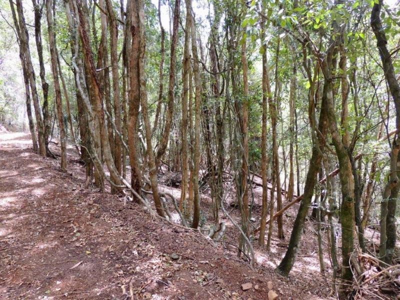 Gloucester NSW 2422