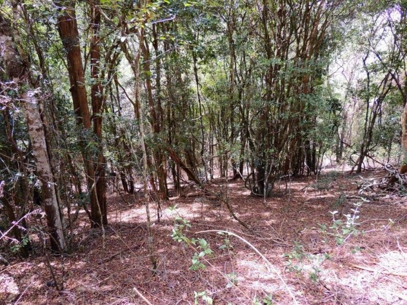 Gloucester NSW 2422