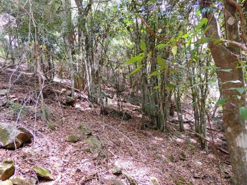Gloucester NSW 2422