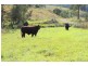 Gloucester NSW 2422
