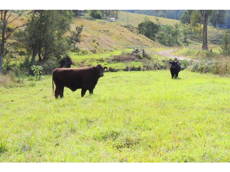 Gloucester NSW 2422