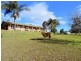 Gloucester NSW 2422