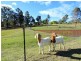 Gloucester NSW 2422