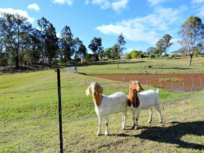 Gloucester NSW 2422