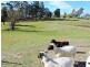 Gloucester NSW 2422