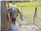 Gloucester NSW 2422