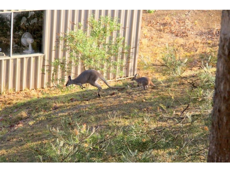Gloucester NSW 2422