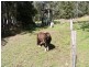 Gloucester NSW 2422