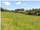 287 Terreel Road, Wards River NSW 2422