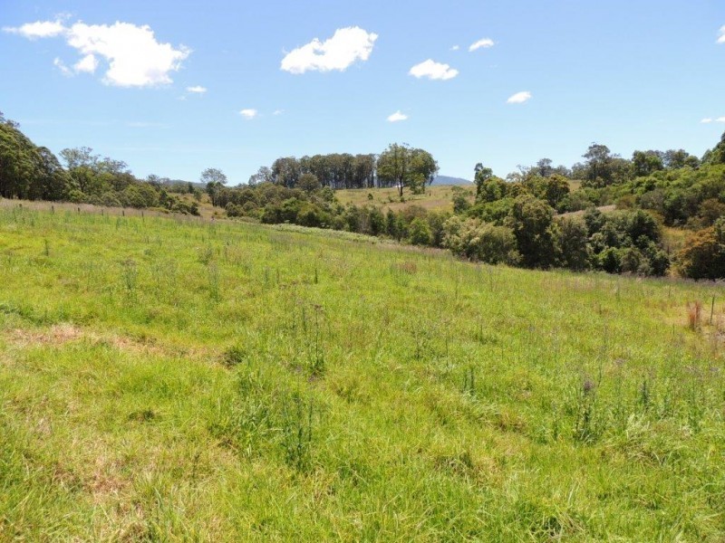 287 Terreel Road, Wards River NSW 2422