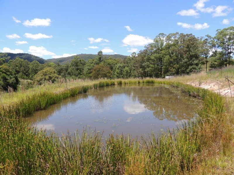 287 Terreel Road, Wards River NSW 2422