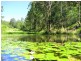 Bulahdelah NSW 2423
