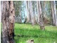 Bulahdelah NSW 2423
