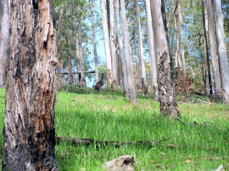 Bulahdelah NSW 2423