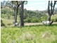 Gloucester NSW 2422