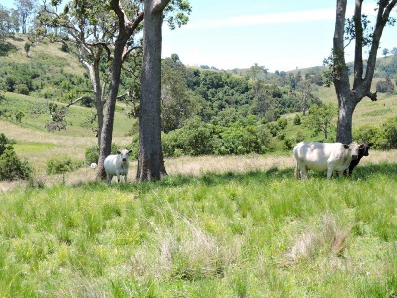 Gloucester NSW 2422