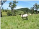 Gloucester NSW 2422