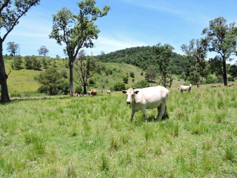 Gloucester NSW 2422