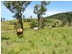 Gloucester NSW 2422