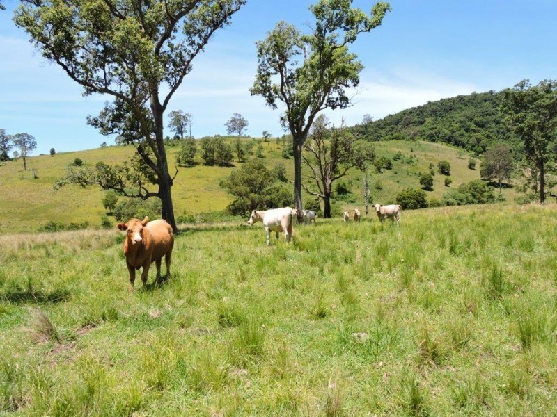 Gloucester NSW 2422