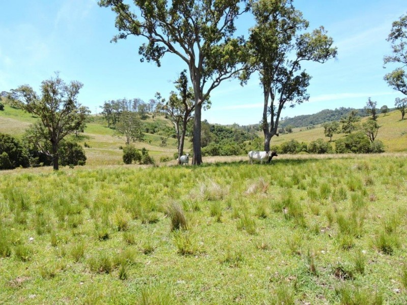 Gloucester NSW 2422