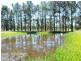 Gloucester NSW 2422