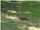Gloucester NSW 2422