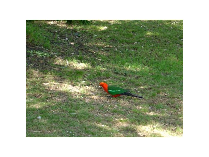 Gloucester NSW 2422