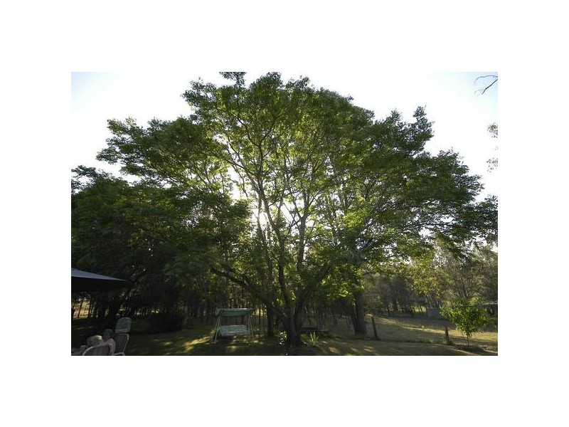 Gloucester NSW 2422