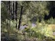 Gloucester NSW 2422