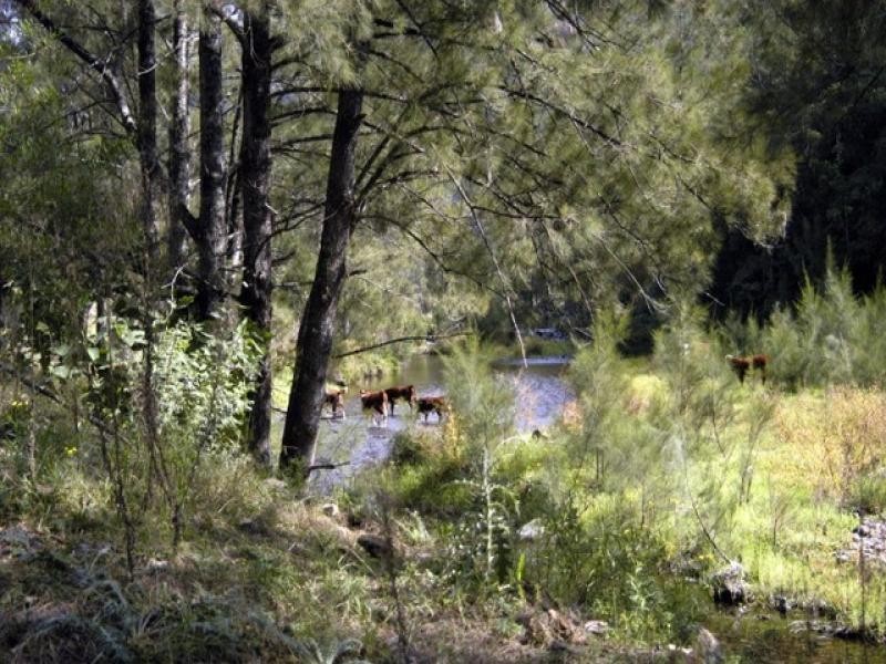 Gloucester NSW 2422