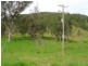 Gloucester NSW 2422