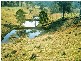Bucca Wauka NSW 2429