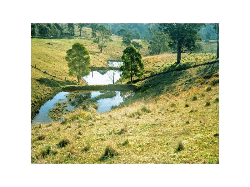 Bucca Wauka NSW 2429