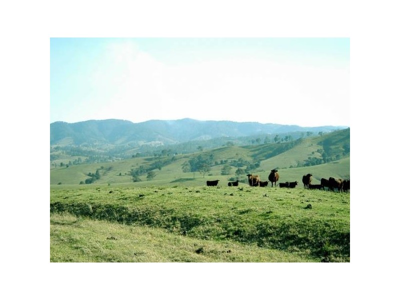 Bucca Wauka NSW 2429