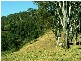 Bucca Wauka NSW 2429