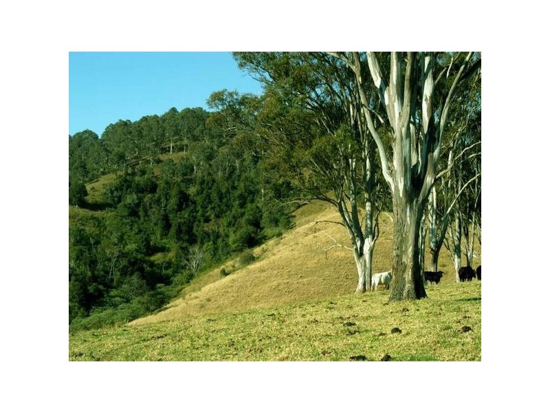 Bucca Wauka NSW 2429