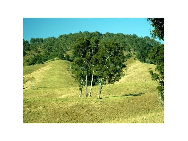 Bucca Wauka NSW 2429