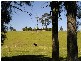Gloucester NSW 2422