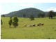 Gloucester NSW 2422