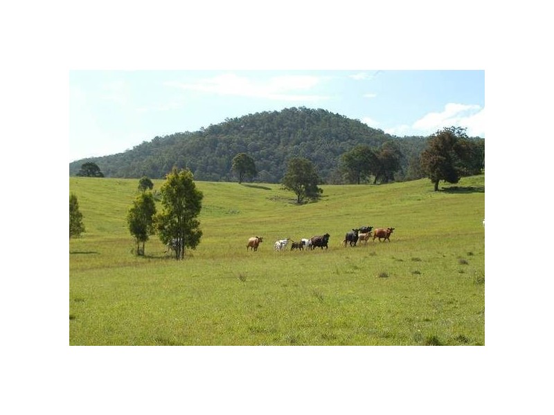 Gloucester NSW 2422